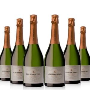 Champagne Los Haroldos x6