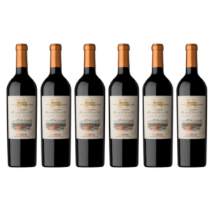 Bianchi 4° Generación Gran Malbec x6