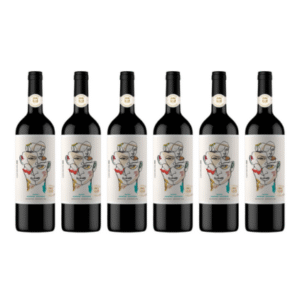 Chateau Subsónico Ilusionista Cabernet x6