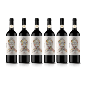 Chateau Subsónico Cambiador Ancellota x6