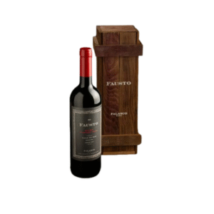 Fausto Estuche Malbec–Cabernet Franc