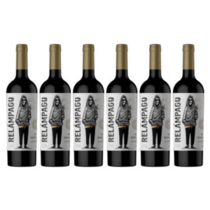 Hermanos Tormenta Relámpago Malbec - Sauvignon Blanc x6