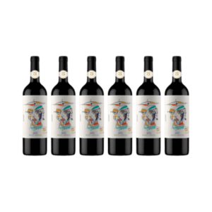Chateau Subsónico x6