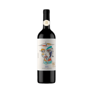 Chateau Subsónico